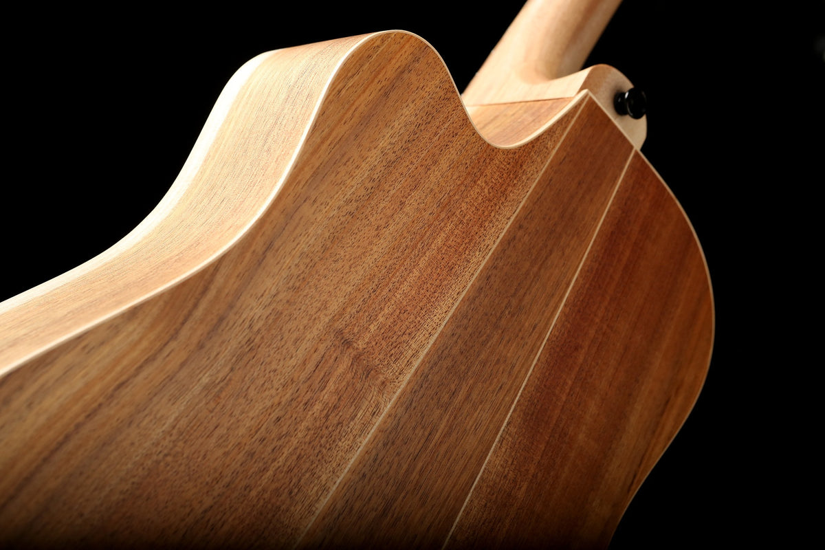 Cole Clark 'Fat Lady' FL2EC Blackwood / Blackwood Humbucker Acoustic Electric Guitar - Acoustic Centre Music Store, Melbourne Australia