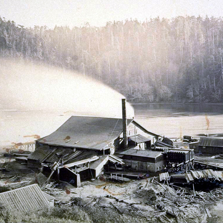 In Depth: What Are Sinker Tonewoods?