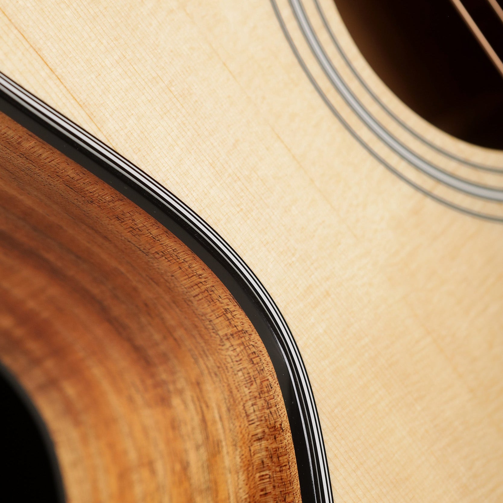 In Depth: The Taylor 314ce AC-LTD Limited Edition