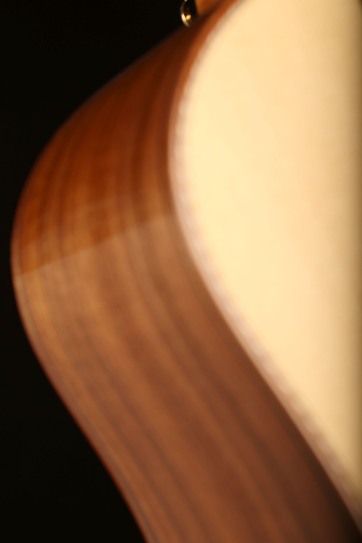 Fenech Master Built D78 'Lutz Spruce / Pau Ferro' Preowned 2021