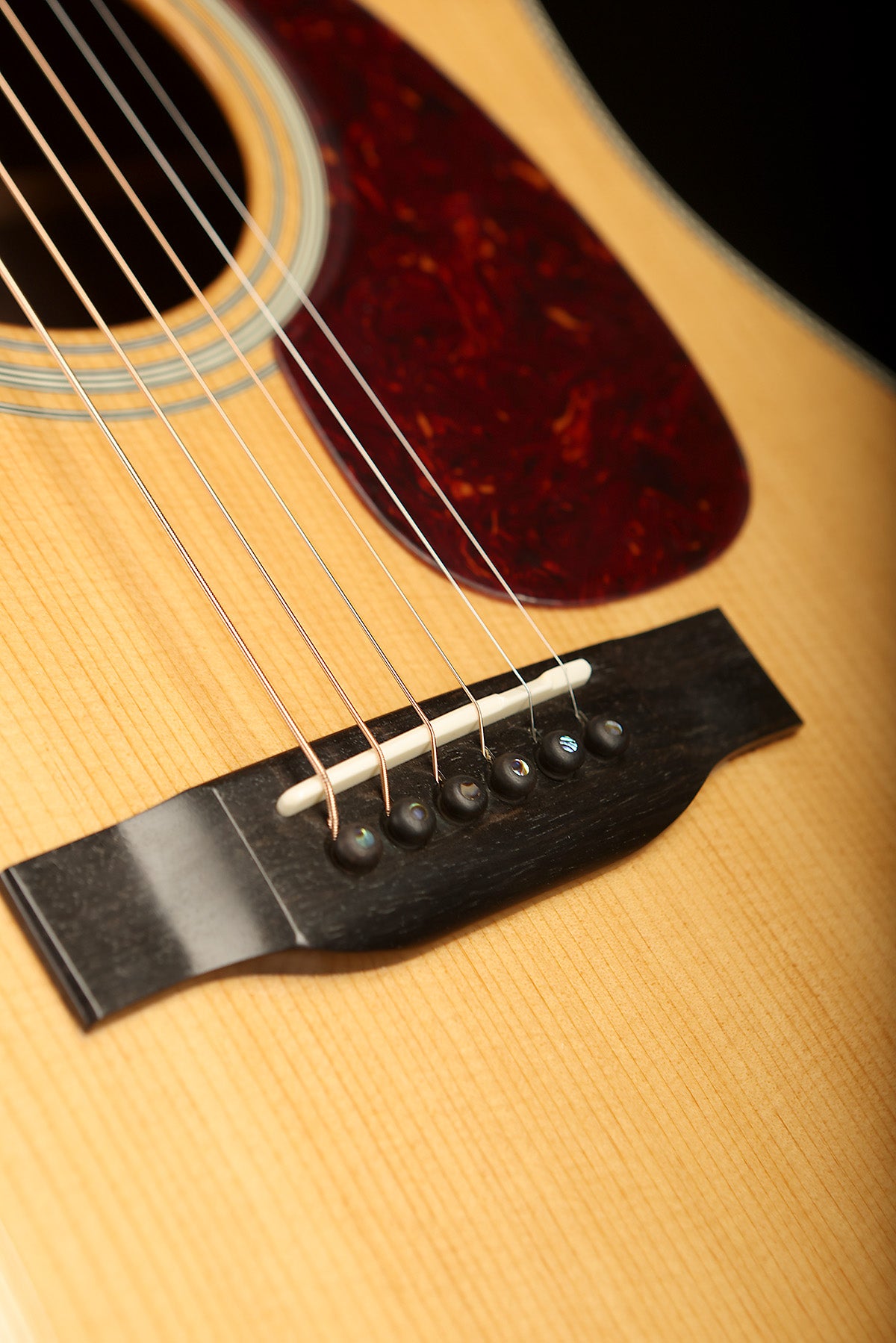 Eastman E20D-TC Acoustic Guitar - Acoustic Centre Music Store, Melbourne Australia