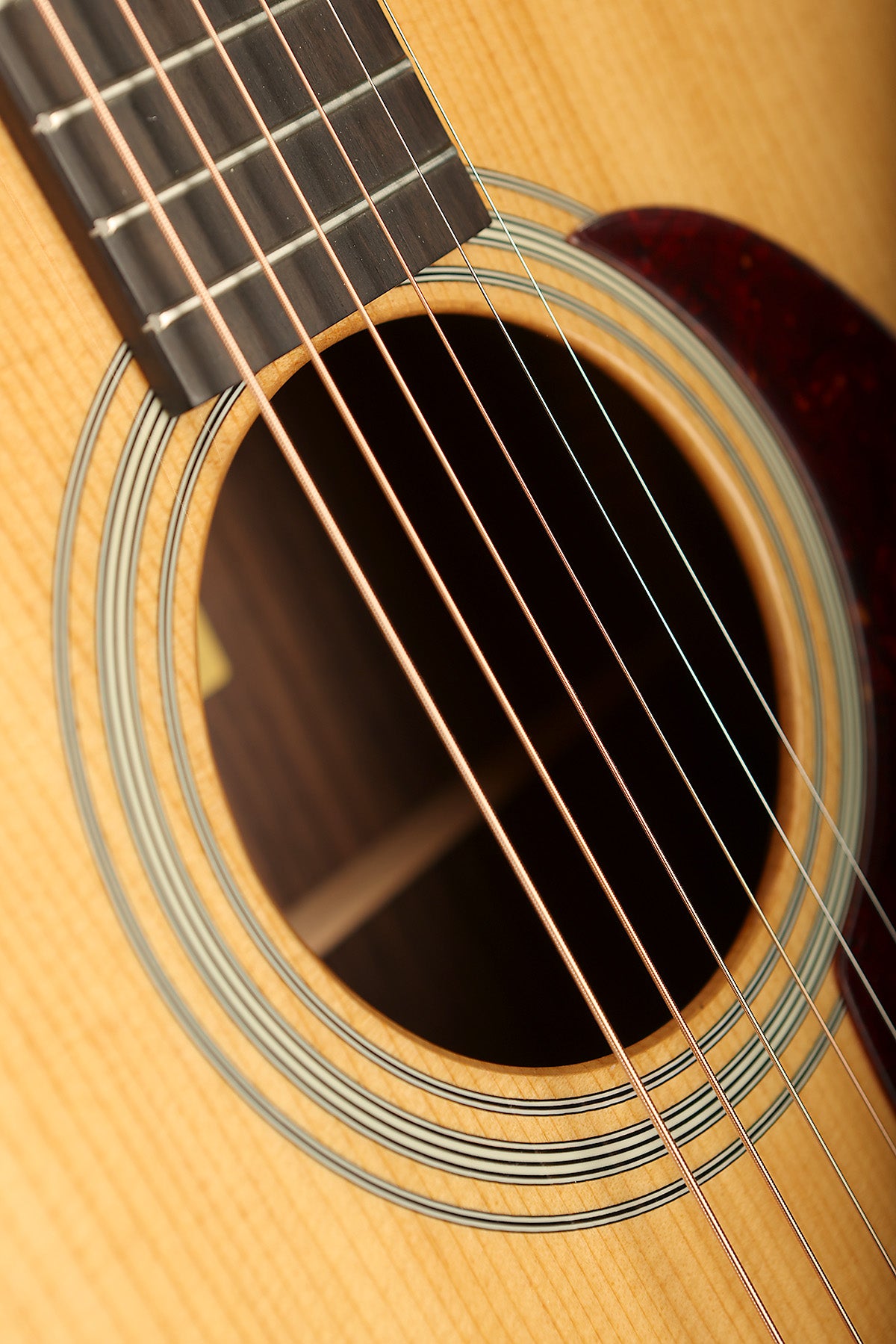 Eastman E20D-TC Acoustic Guitar - Acoustic Centre Music Store, Melbourne Australia