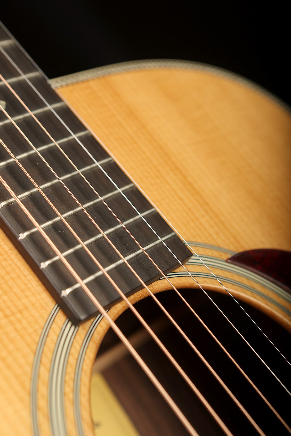 Eastman E20D-TC Acoustic Guitar - Acoustic Centre Music Store, Melbourne Australia