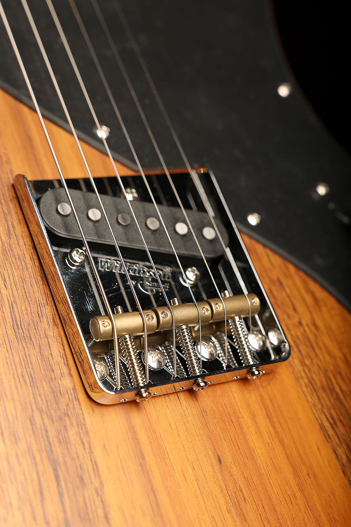 Cole Clark Culprit 3 SS Blackwood 'Sunburst' Electric Guitar - Acoustic Centre Music Store, Melbourne Australia