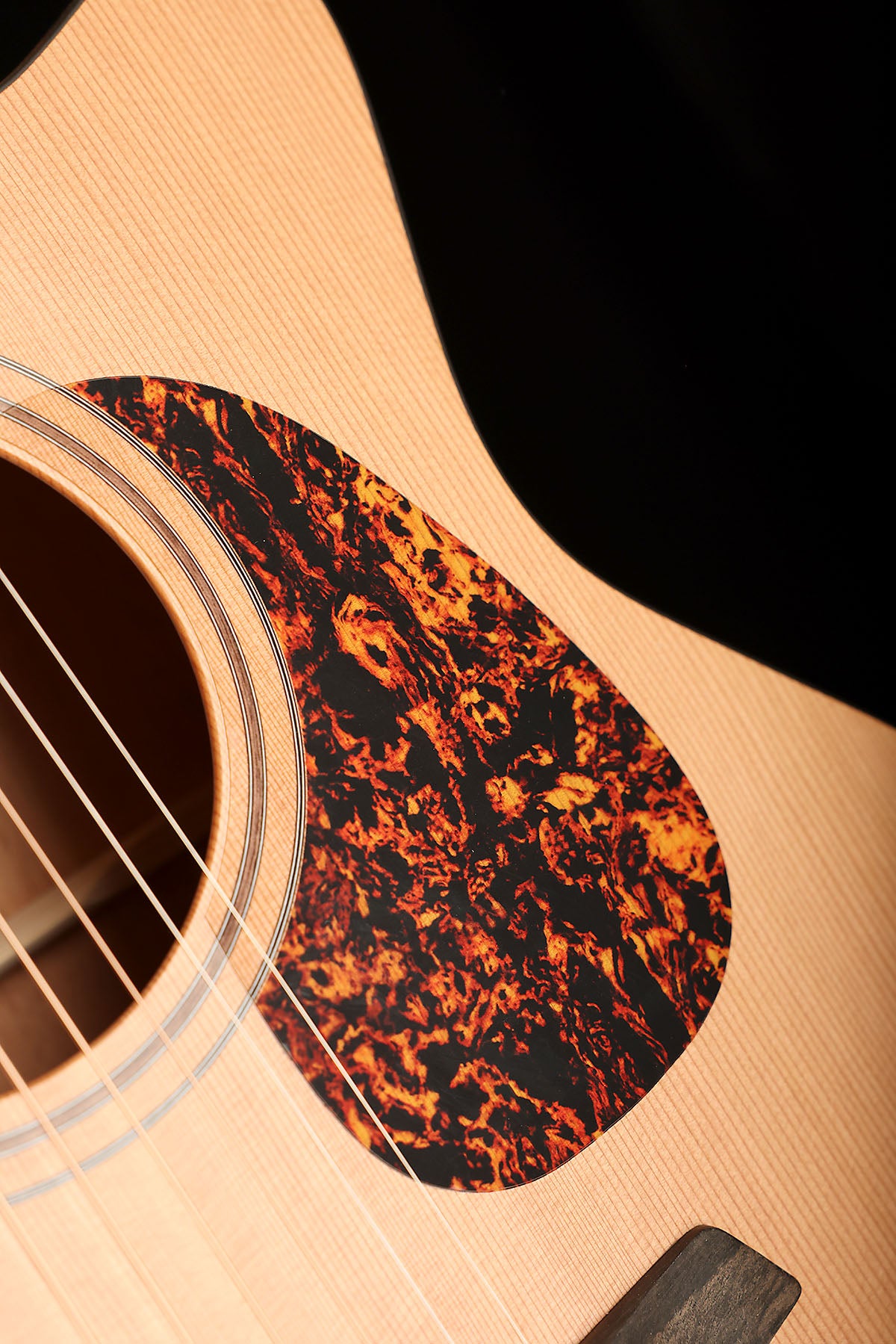 Furch Blue GC-CM a Master’s Choice Acoustic Electric Guitar - Acoustic Centre Music Store, Melbourne Australia