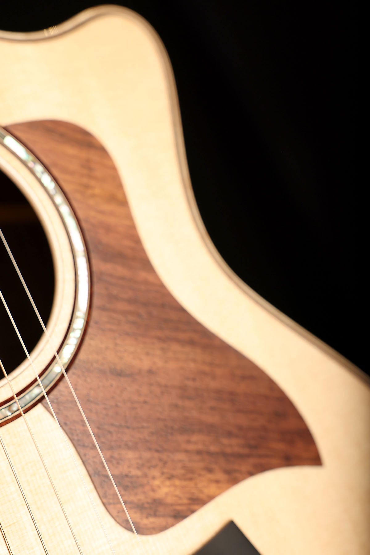 Taylor 814ce Next Generation Acoustic Electric Guitar - Acoustic Centre Music Store, Melbourne Australia
