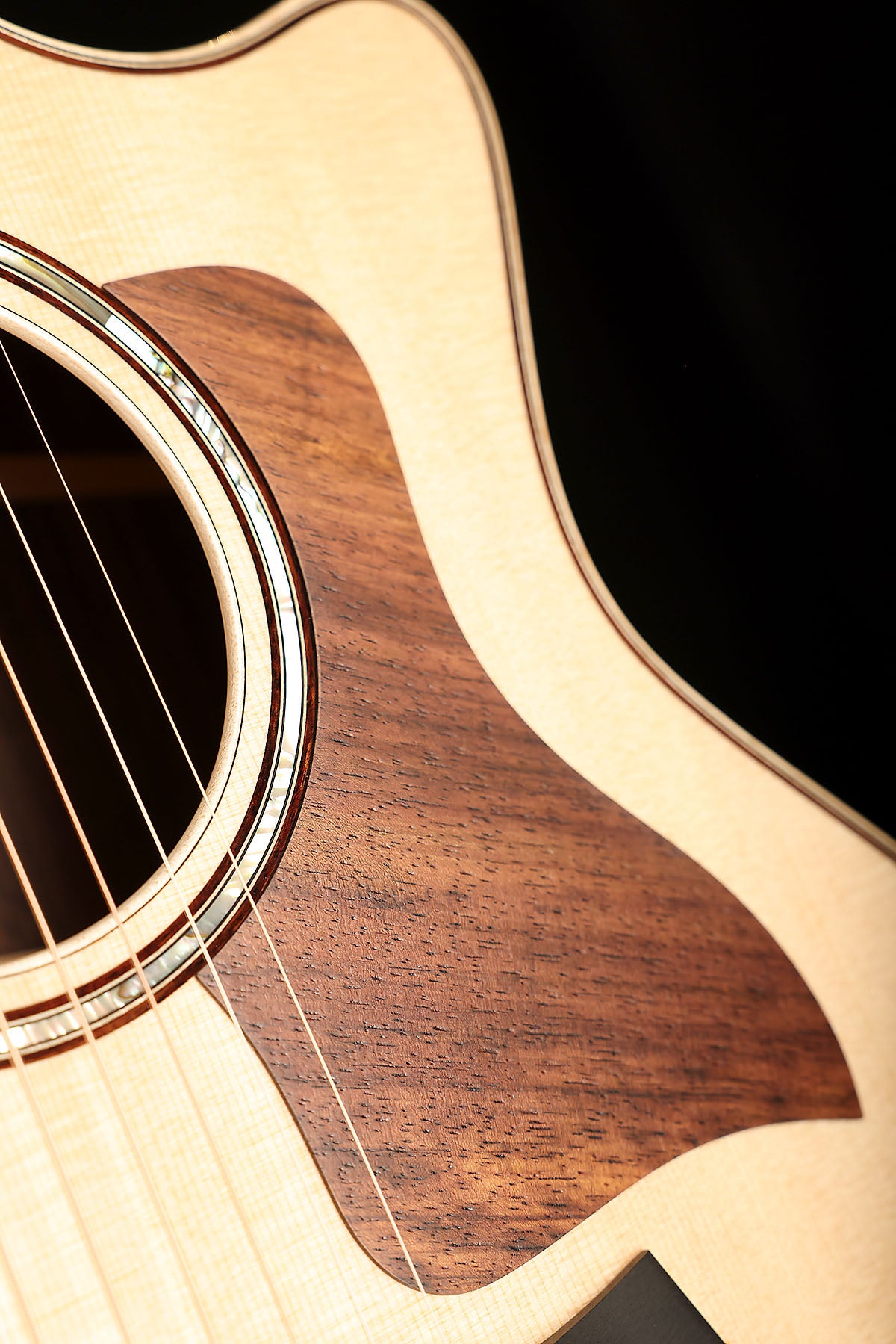 Taylor 814ce Next Generation Acoustic Electric Guitar - Acoustic Centre Music Store, Melbourne Australia