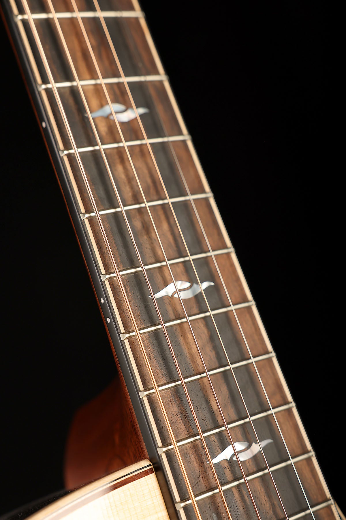 Taylor 814ce Next Generation Acoustic Electric Guitar - Acoustic Centre Music Store, Melbourne Australia