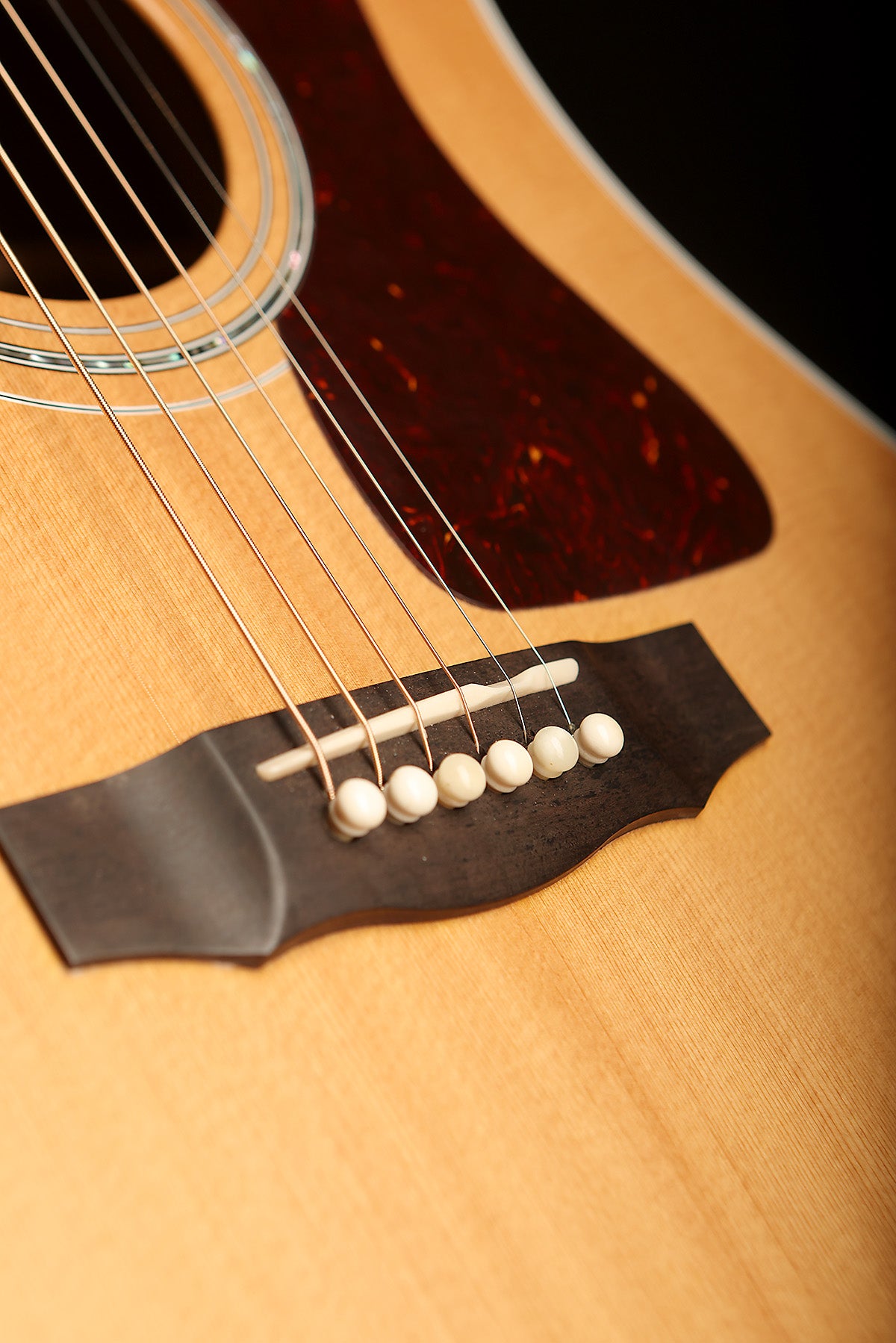 Guild D-55E Preowned 2021 - Acoustic Centre Music Store, Melbourne Australia