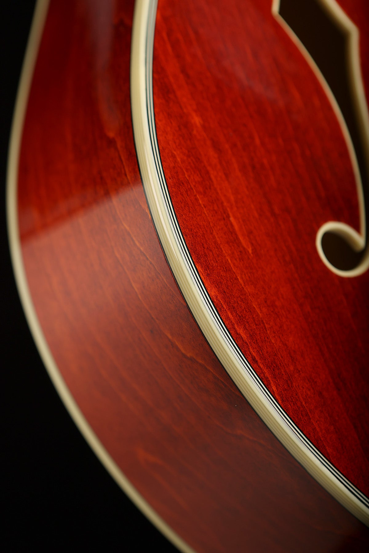 Eastman AR372CE-P90 Limited Edition Archtop Electric Guitar - Acoustic Centre Music Store, Melbourne Australia