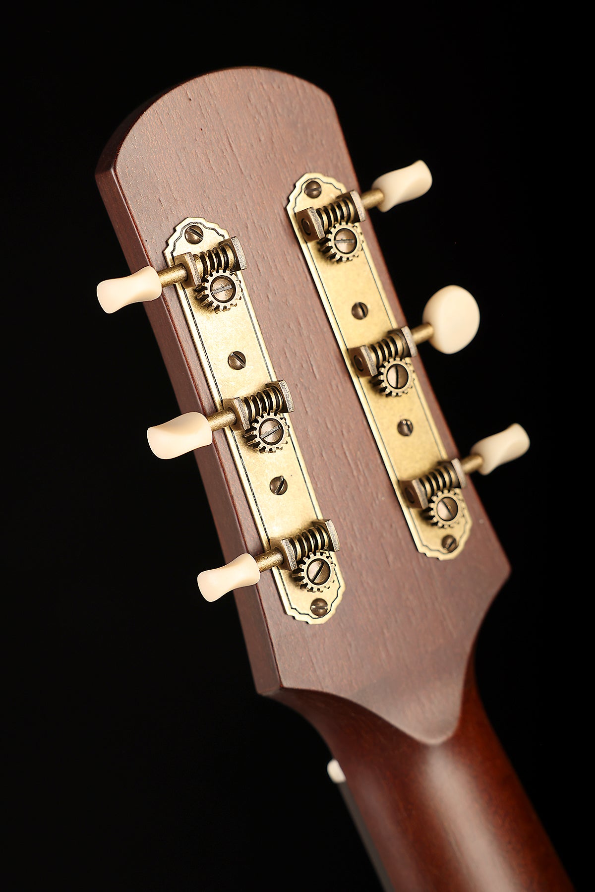 Iris DF 'Relic Tobacco Burst' Acoustic Guitar - Acoustic Centre Music Store, Melbourne Australia