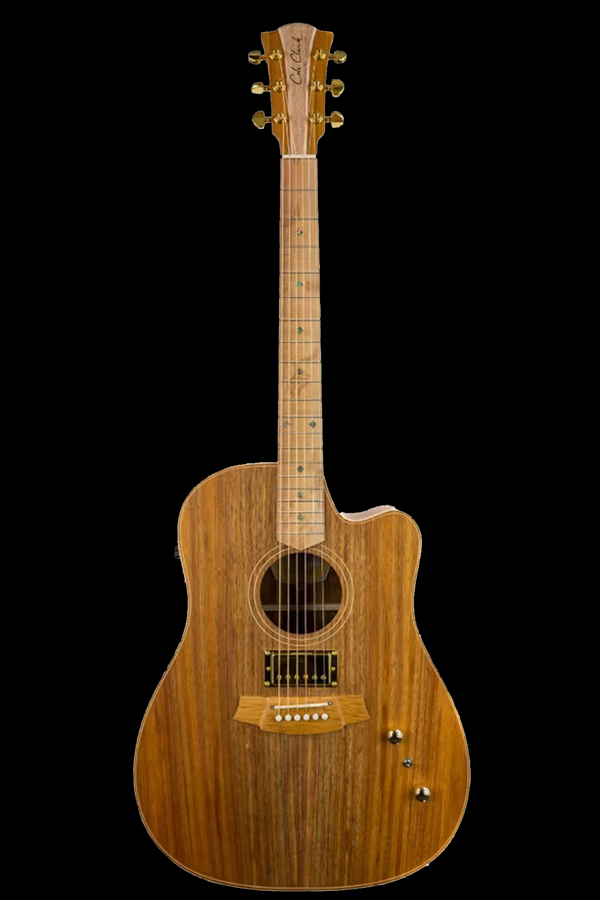 Cole Clark FL2EC-BLBL-HUM ‘Natural’ Fat Lady Dreadnought Cutaway 'All Blackwood' Acoustic Electric Guitar with Humbucker