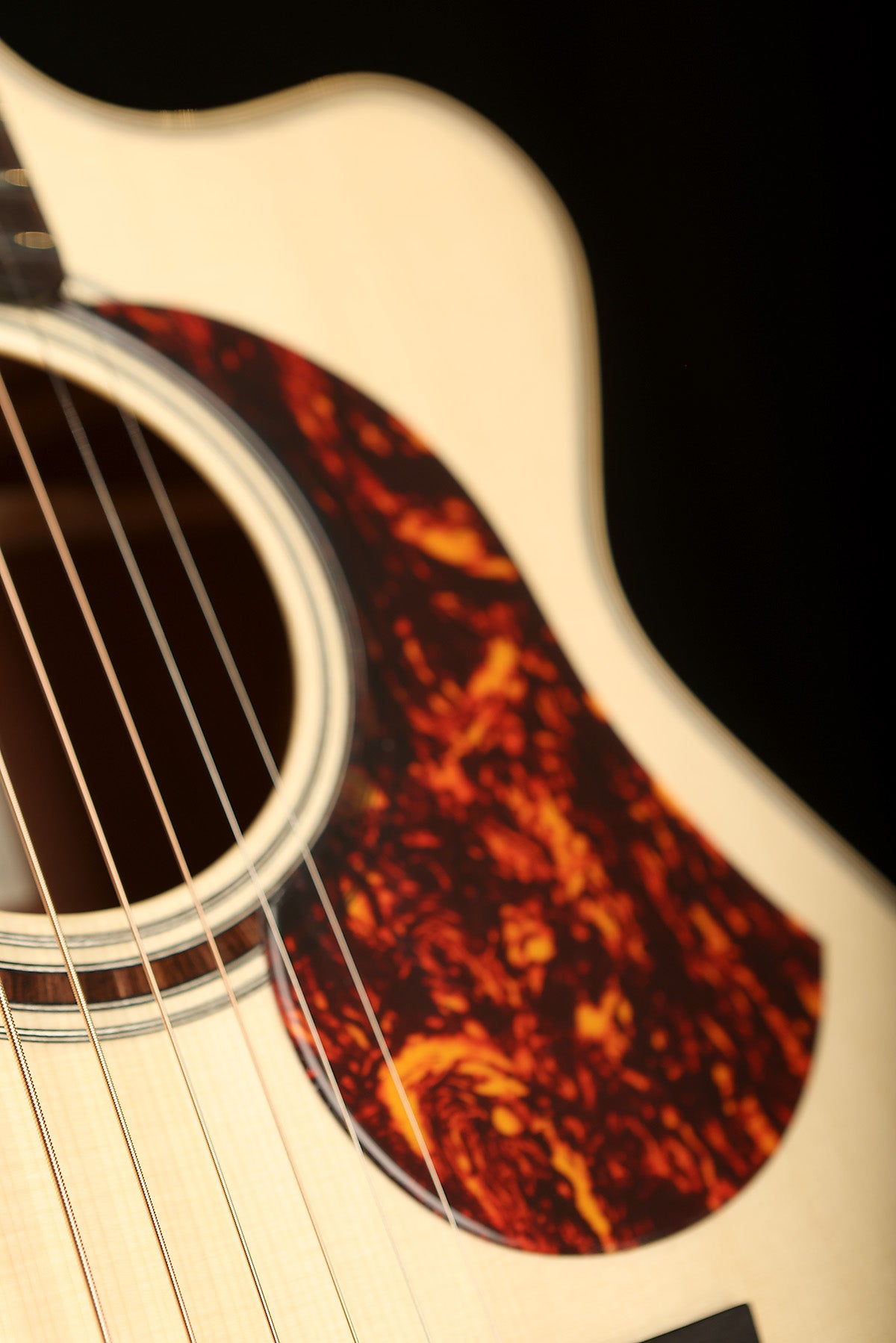 Maton Master Built L.E. May &#39;European Spruce / Fiddleback Victorian Blackwood&#39; Acoustic Electric Guitar - Acoustic Centre Music Store, Melbourne Australia