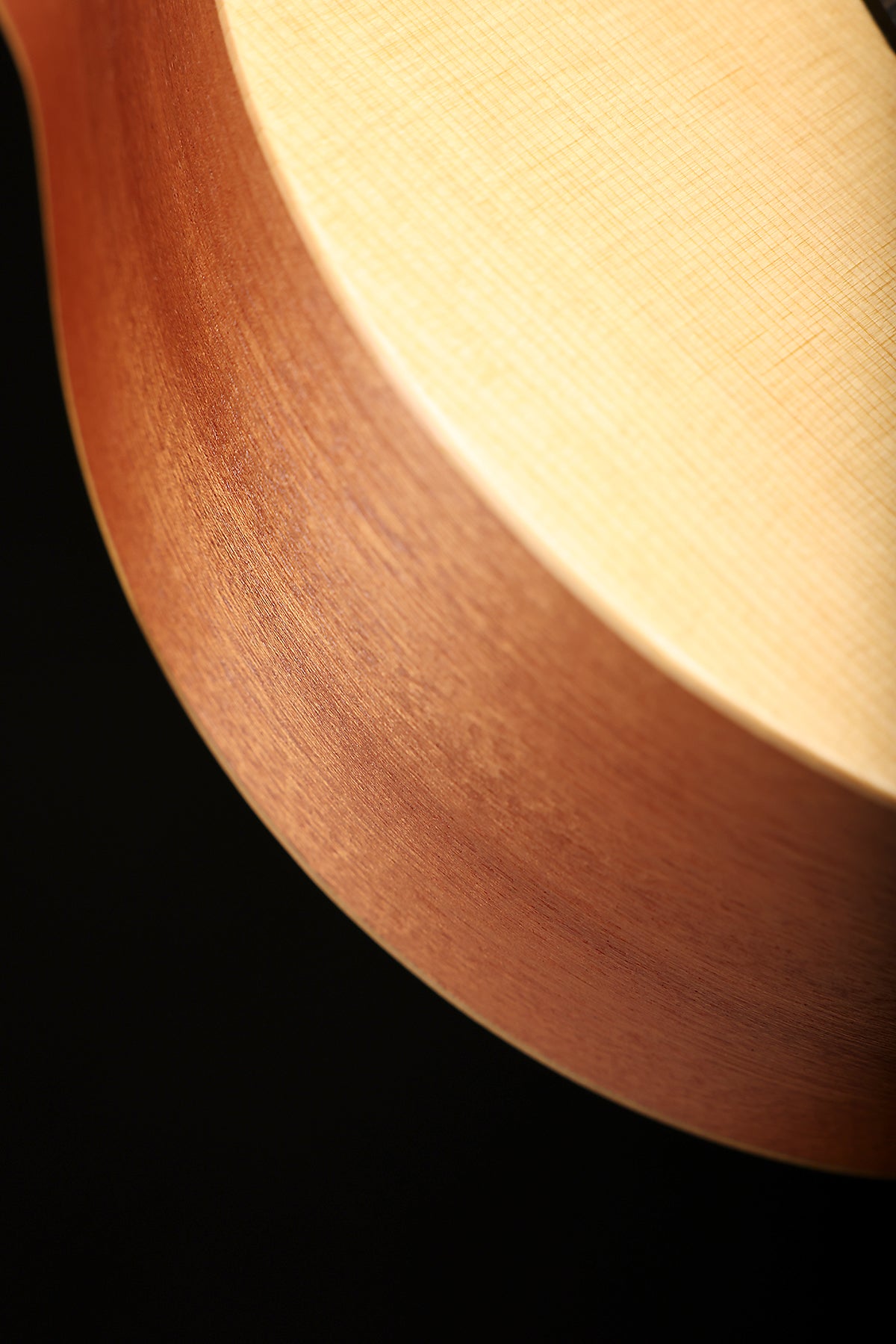 Taylor Jacob Collier GS Mini 5-String Acoustic Guitar - Acoustic Centre Music Store, Melbourne Australia