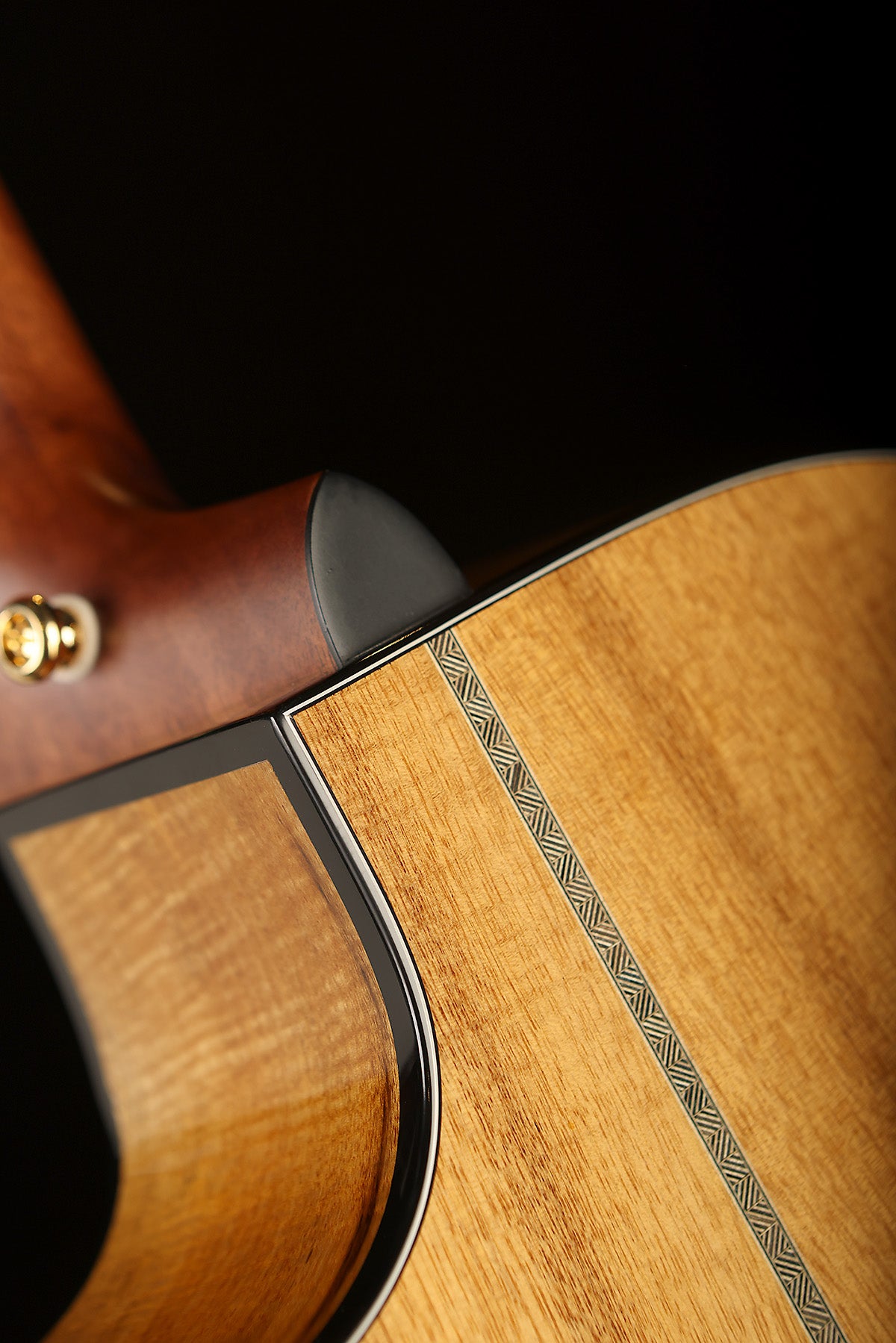 Cort Gold Edge Limited Edition &#39;Gloss Natural&#39; Acoustic Electric Guitar - Acoustic Centre Music Store, Melbourne Australia