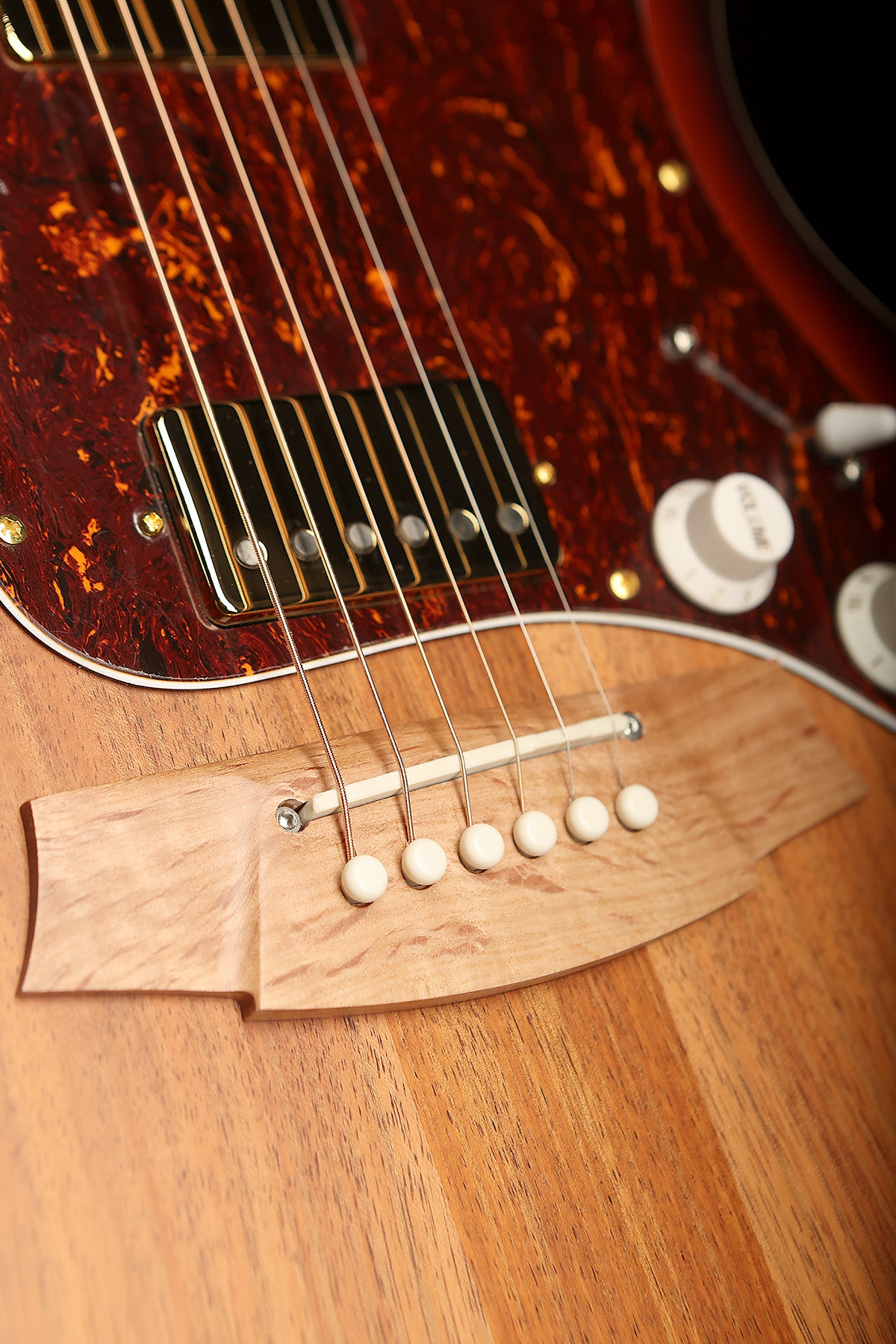 Cole Clark CCTL2EC-BLBL-HH True Hybrid Thinline 'All Blackwood Sunburst' HH Acoustic Electric Guitar - Acoustic Centre Music Store, Melbourne Australia