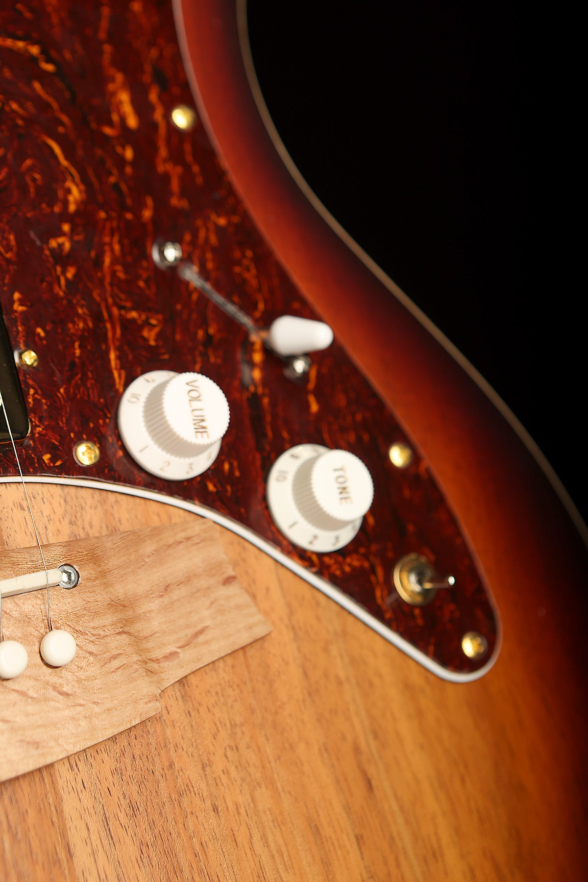 Cole Clark CCTL2EC-BLBL-HH True Hybrid Thinline 'All Blackwood Sunburst' HH Acoustic Electric Guitar - Acoustic Centre Music Store, Melbourne Australia