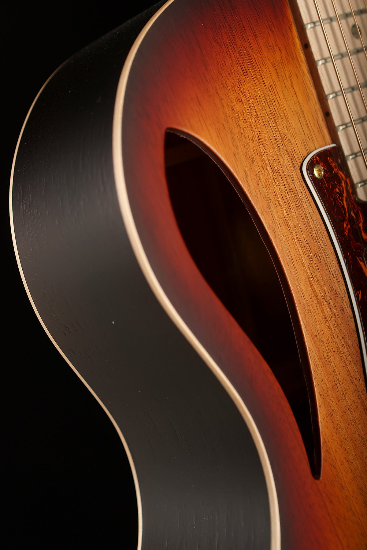 Cole Clark CCTL2EC-BLBL-HH True Hybrid Thinline 'All Blackwood Sunburst' HH Acoustic Electric Guitar - Acoustic Centre Music Store, Melbourne Australia