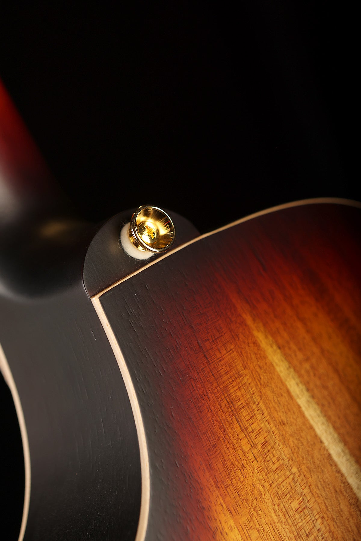 Cole Clark CCTL2EC-BLBL-HH True Hybrid Thinline 'All Blackwood Sunburst' HH Acoustic Electric Guitar - Acoustic Centre Music Store, Melbourne Australia