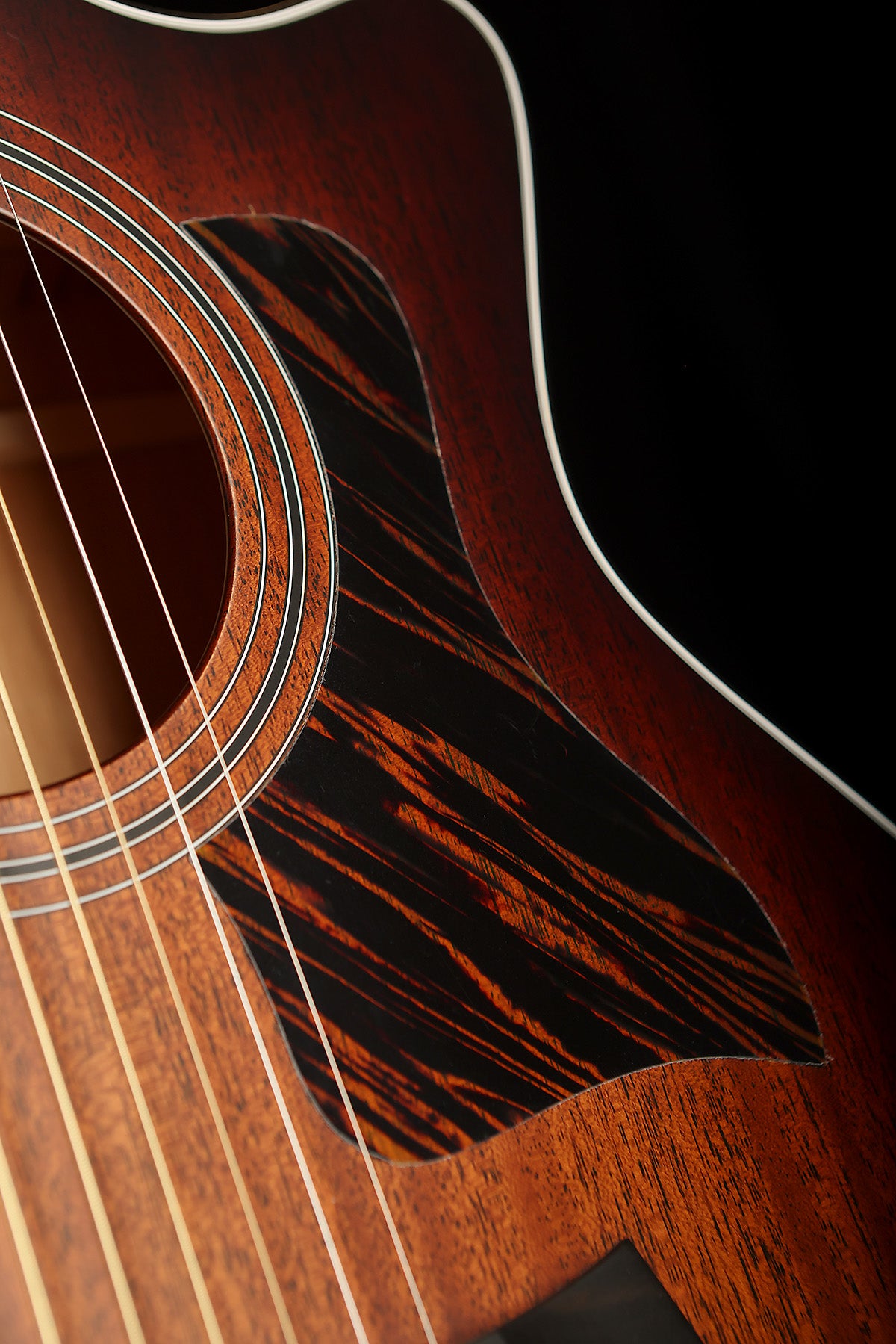 Taylor 324ce Baritone-6 Acoustic Electric Guitar - Acoustic Centre Music Store, Melbourne Australia