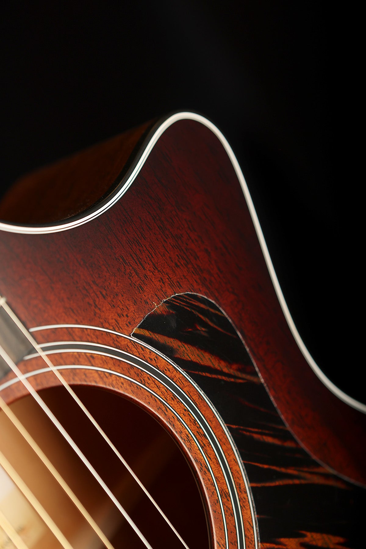 Taylor 324ce Baritone-6 Acoustic Electric Guitar - Acoustic Centre Music Store, Melbourne Australia