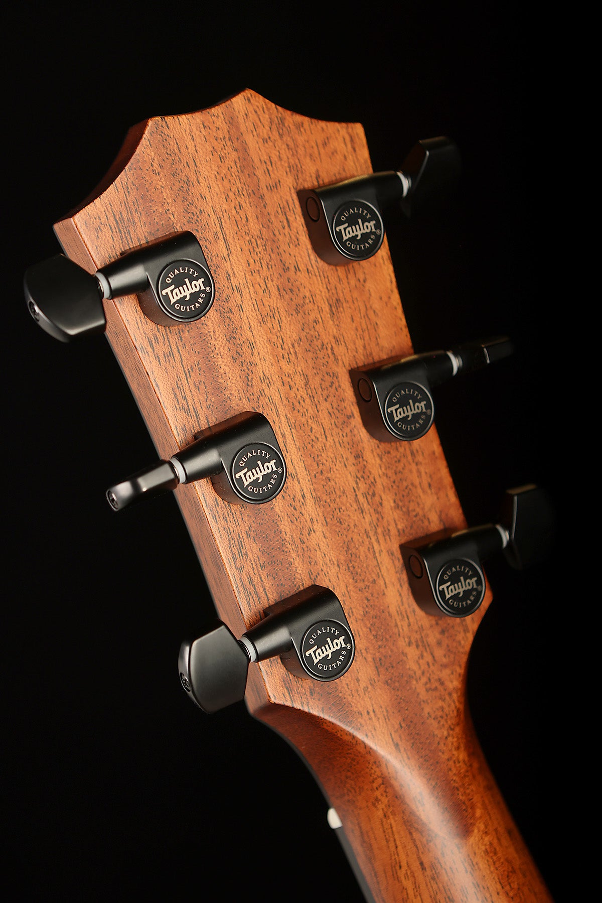 Taylor 324ce Baritone-6 Acoustic Electric Guitar - Acoustic Centre Music Store, Melbourne Australia