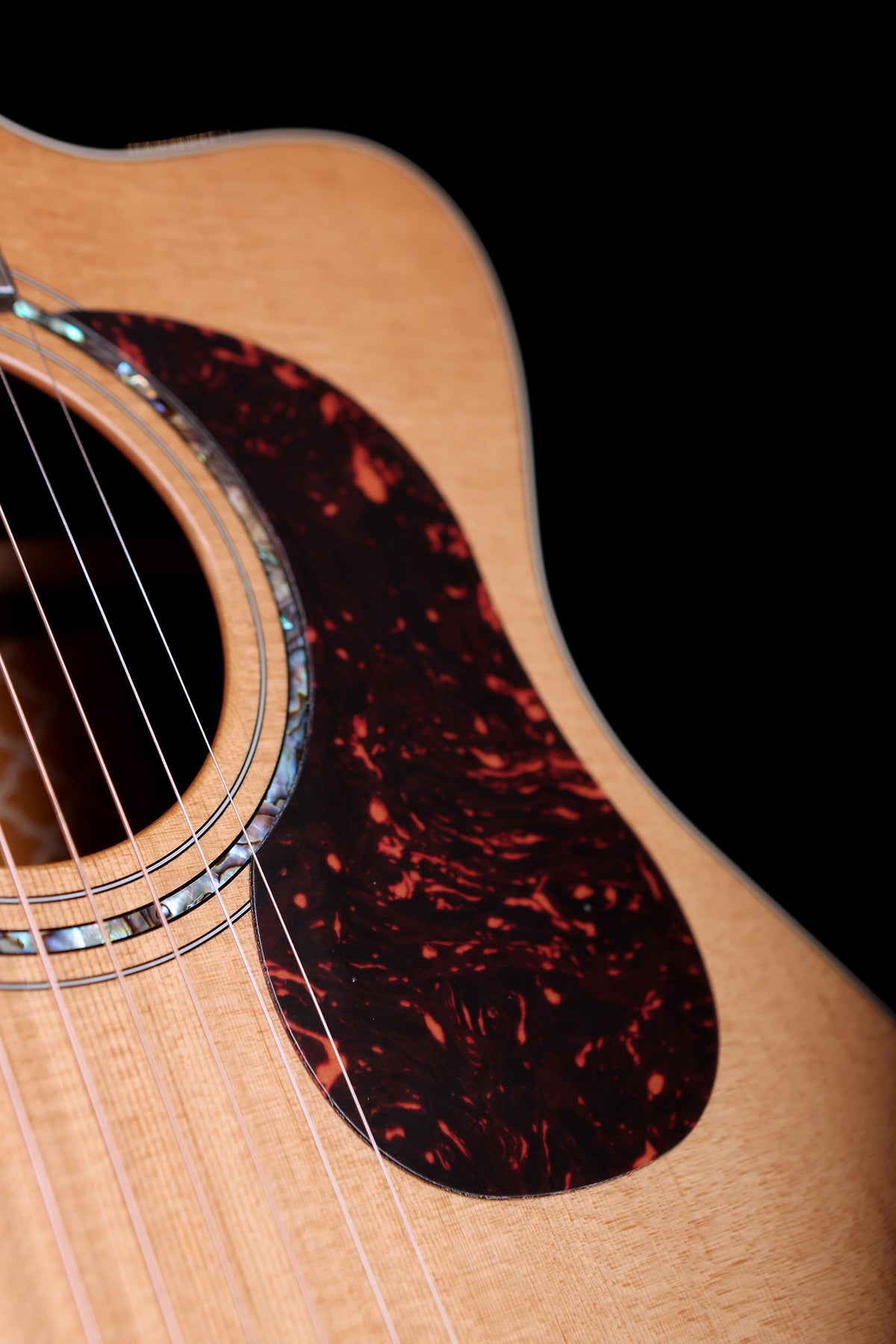 Cort Gold Series OC6 Orchestra Bocote Acoustic Electric Guitar - Acoustic Centre Music Store, Melbourne Australia