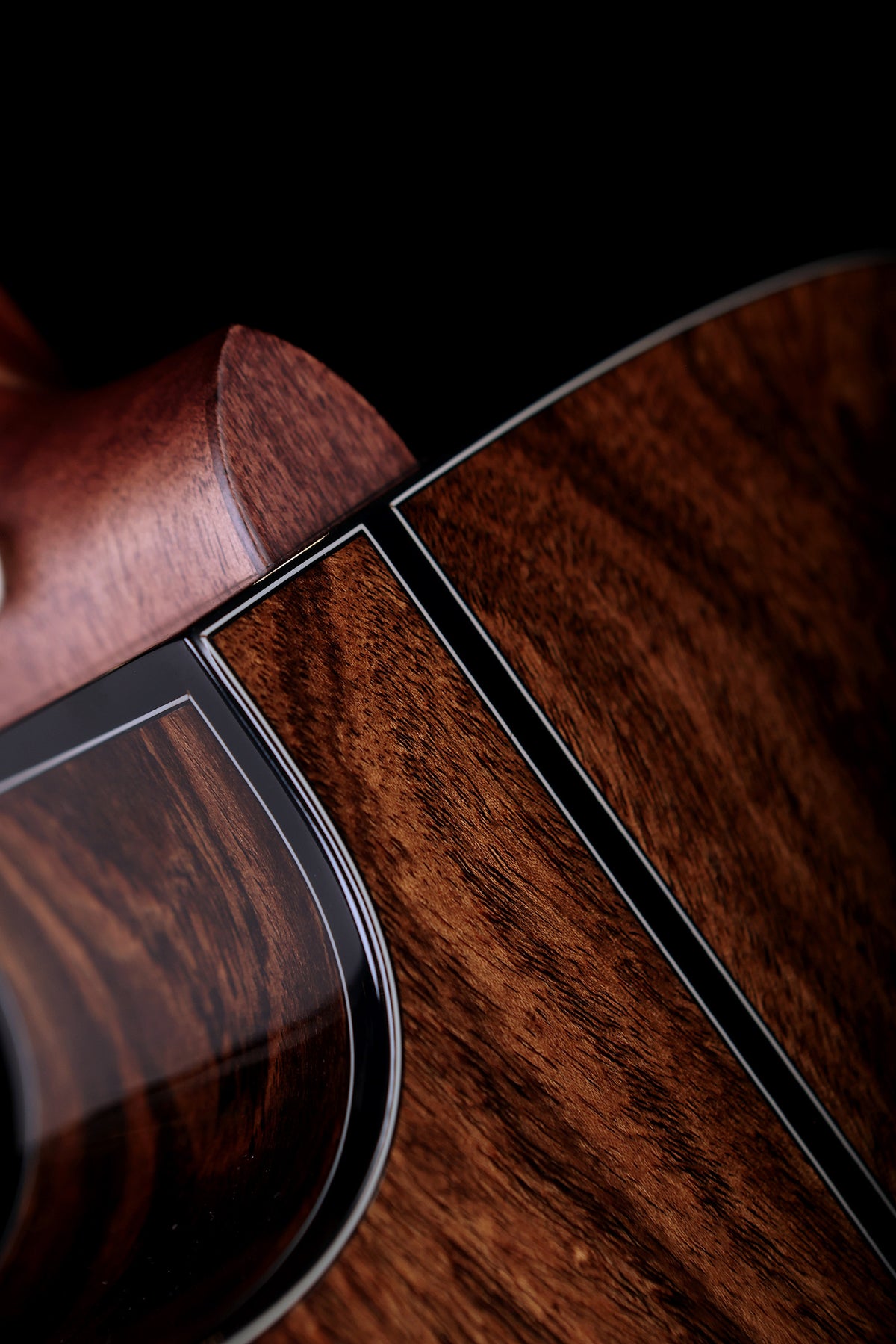 Cort Gold Series OC6 Orchestra Bocote Acoustic Electric Guitar - Acoustic Centre Music Store, Melbourne Australia