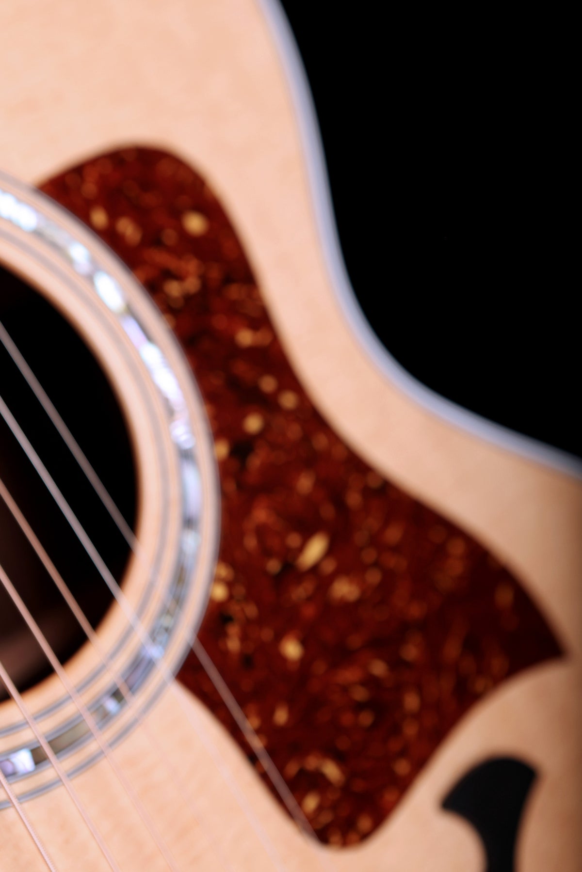 Taylor 815e Legacy Jumbo &#39;Hand Signed Edition&#39; Preowned 2024 - Acoustic Centre Music Store, Melbourne Australia