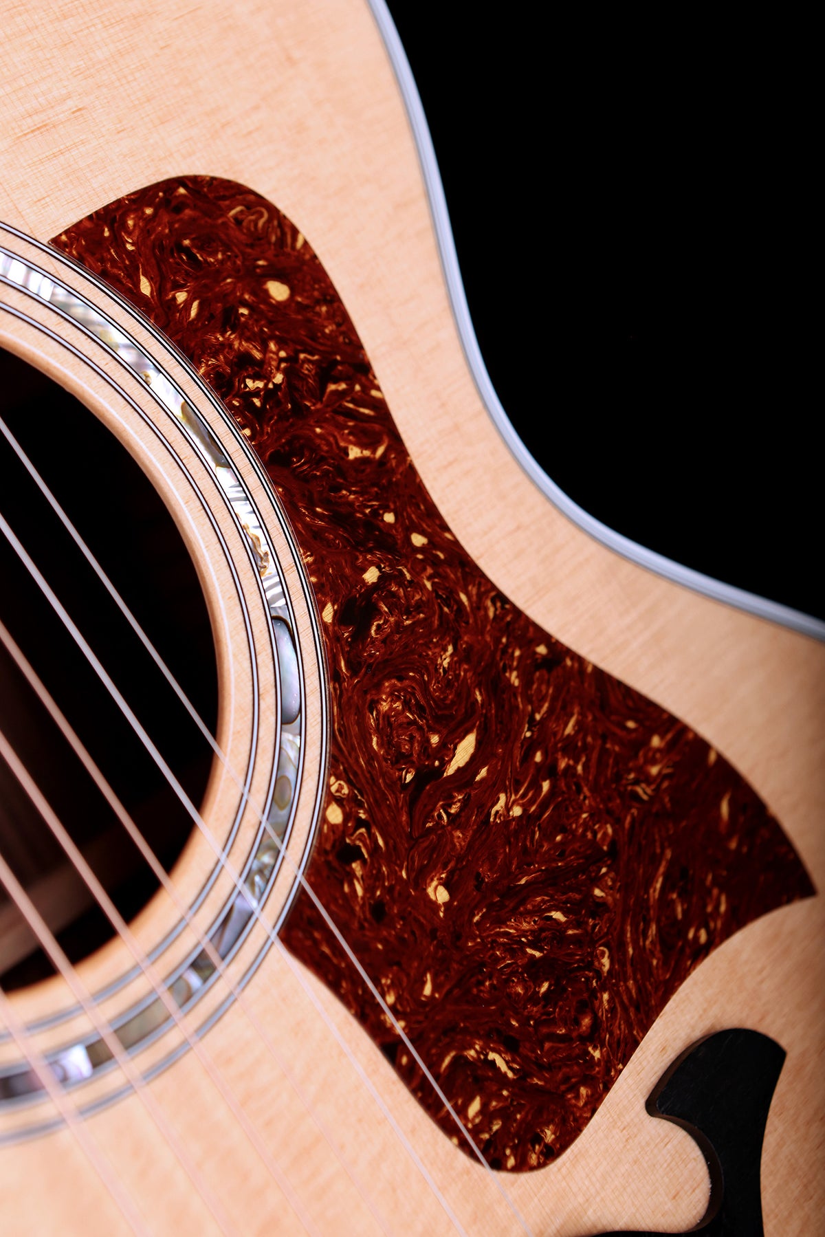 Taylor 815e Legacy Jumbo &#39;Hand Signed Edition&#39; Preowned 2024 - Acoustic Centre Music Store, Melbourne Australia