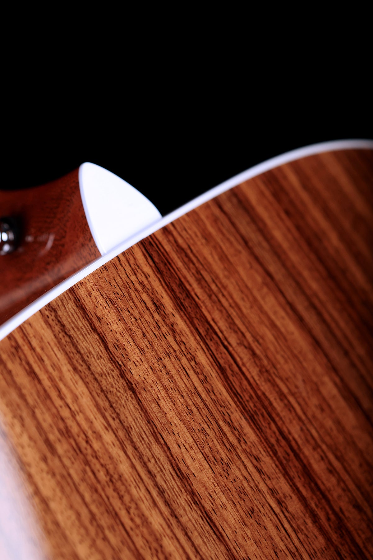 Taylor 815e Legacy Jumbo &#39;Hand Signed Edition&#39; Preowned 2024 - Acoustic Centre Music Store, Melbourne Australia