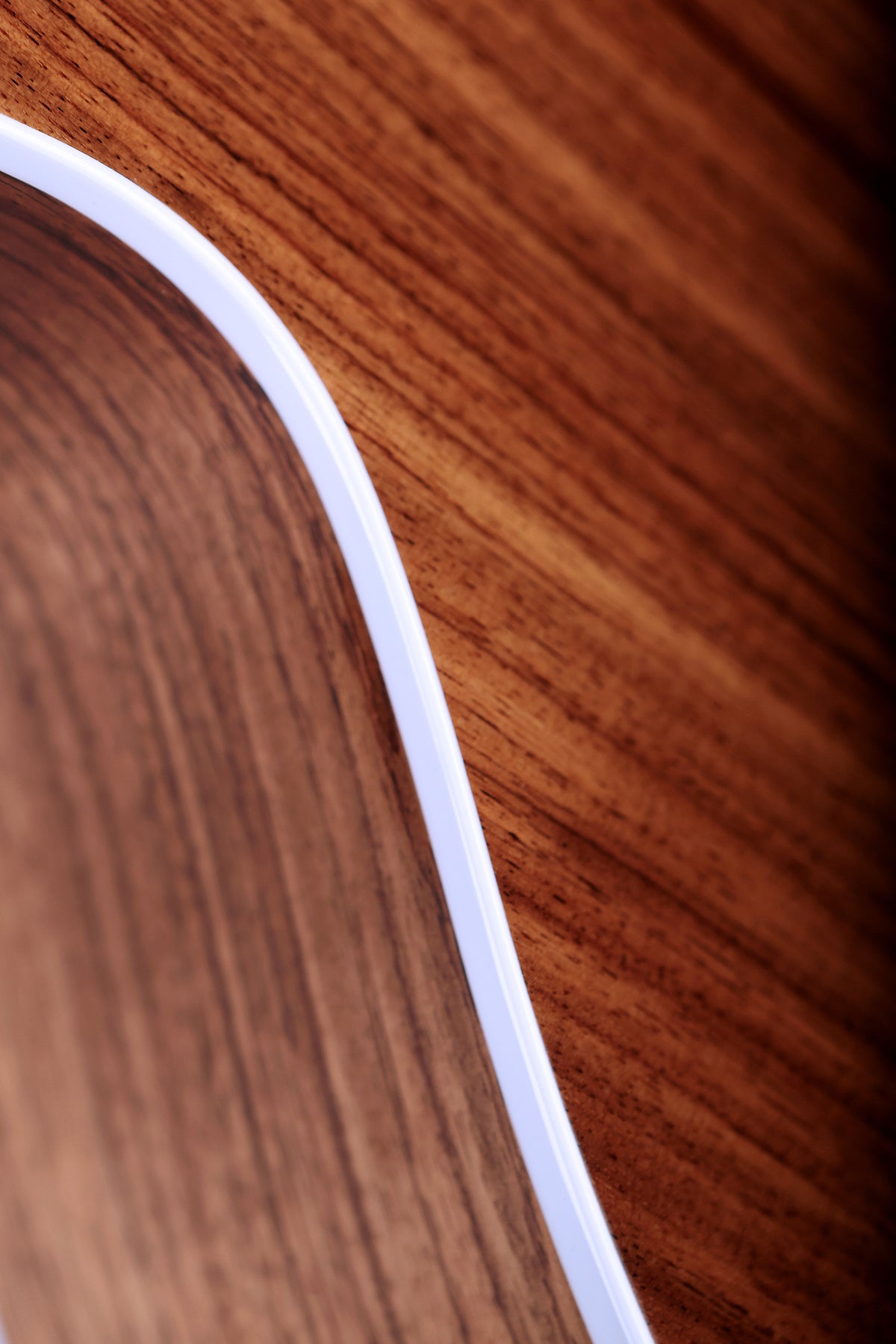 Taylor 815e Legacy Jumbo &#39;Hand Signed Edition&#39; Preowned 2024 - Acoustic Centre Music Store, Melbourne Australia