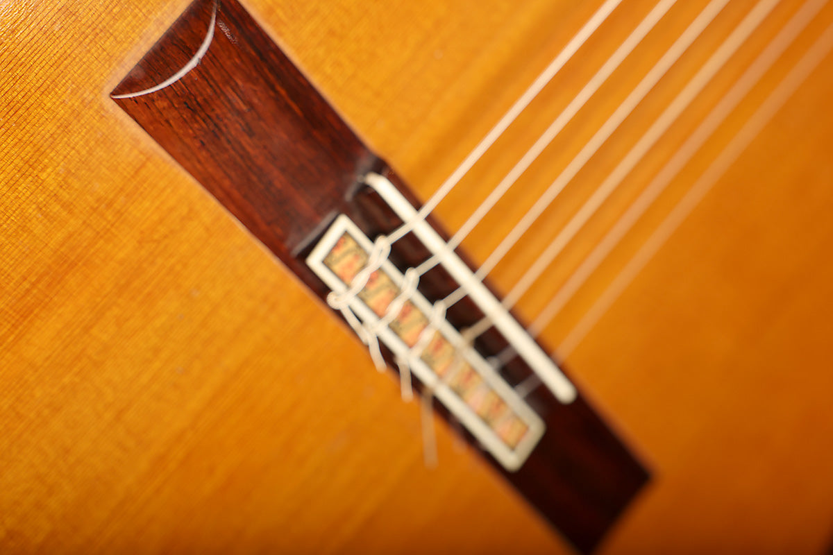 Jose oribe special calida suprema 1986. Pre owned with case - Acoustic Centre Music Store, Melbourne Australia