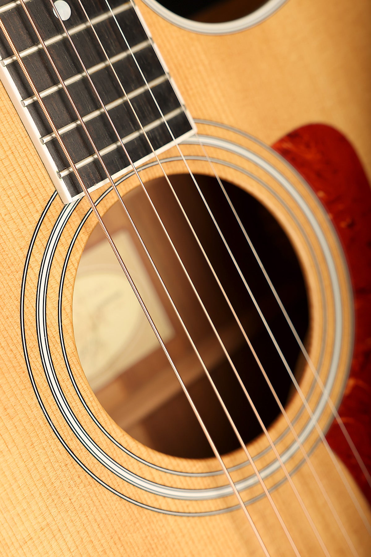 Taylor 416ce Preowned 2011