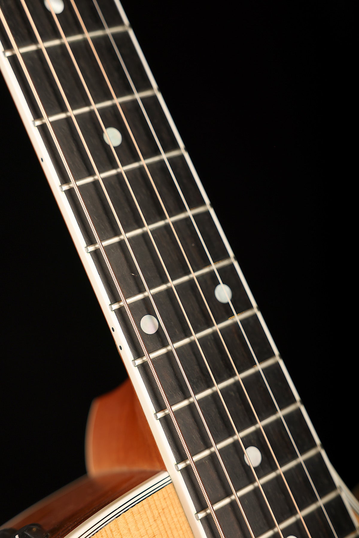 Taylor 416ce Preowned 2011