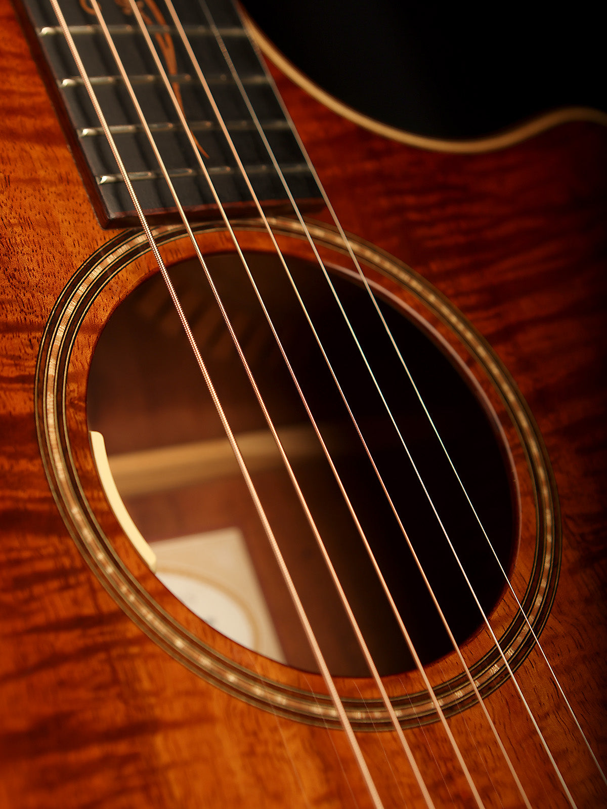 Taylor K24ce Preowned 2014 - Acoustic Centre Music Store, Melbourne Australia