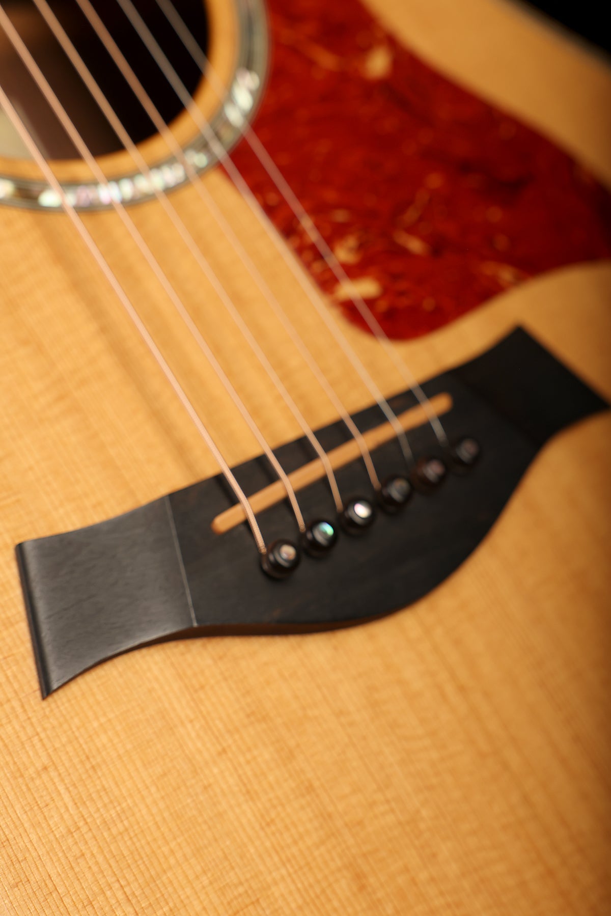 Taylor 816ce Preowned 2011