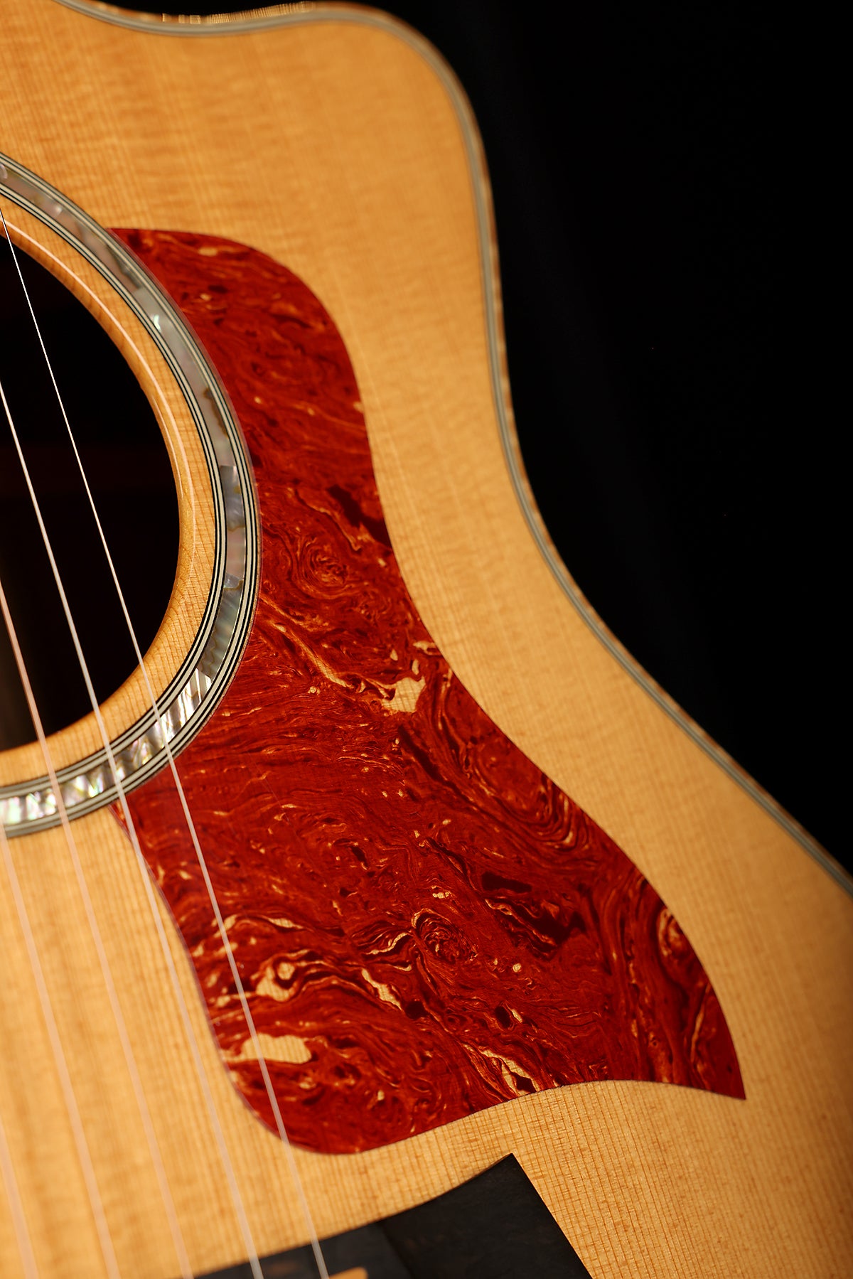 Taylor 816ce Preowned 2011