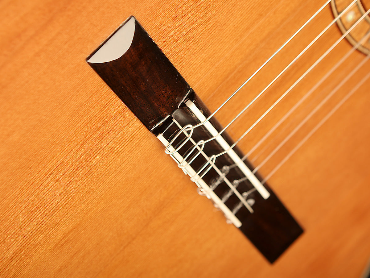 Katoh MP-14H Crossover Classical Electric Guitar - Acoustic Centre Music Store, Melbourne Australia