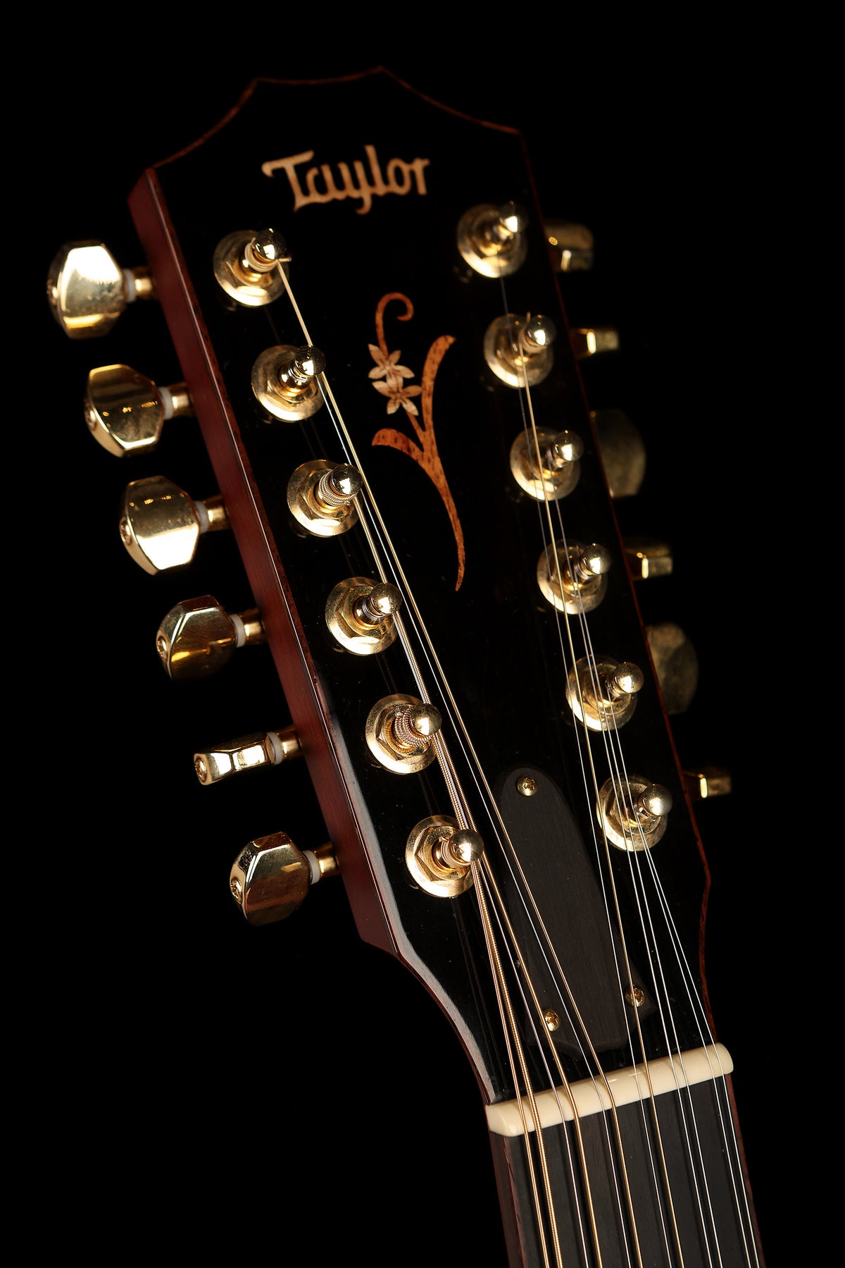 Taylor K66ce 12-String Preowned 2015 - Acoustic Centre Music Store, Melbourne Australia