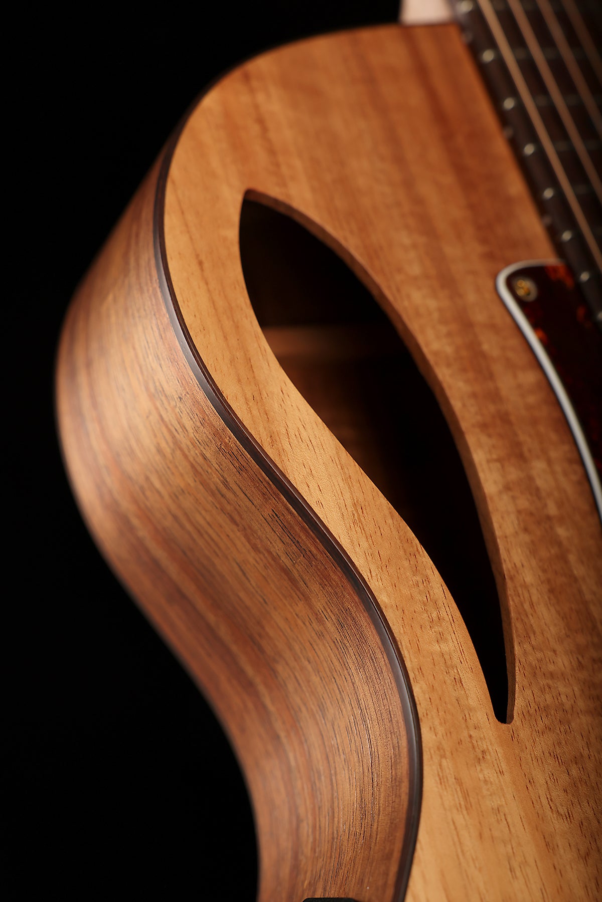 Cole Clark CCTL2EC-BLBLR-HH True Hybrid Acoustic Electric Guitar