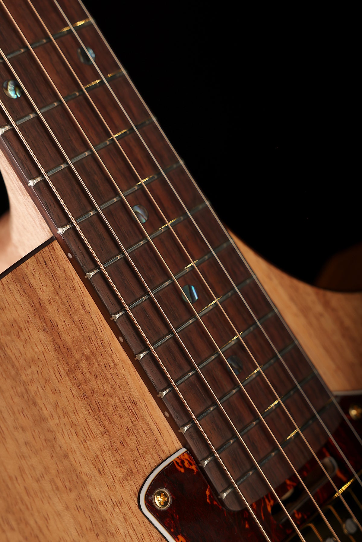 Cole Clark CCTL2EC-BLBLR-HH True Hybrid Acoustic Electric Guitar