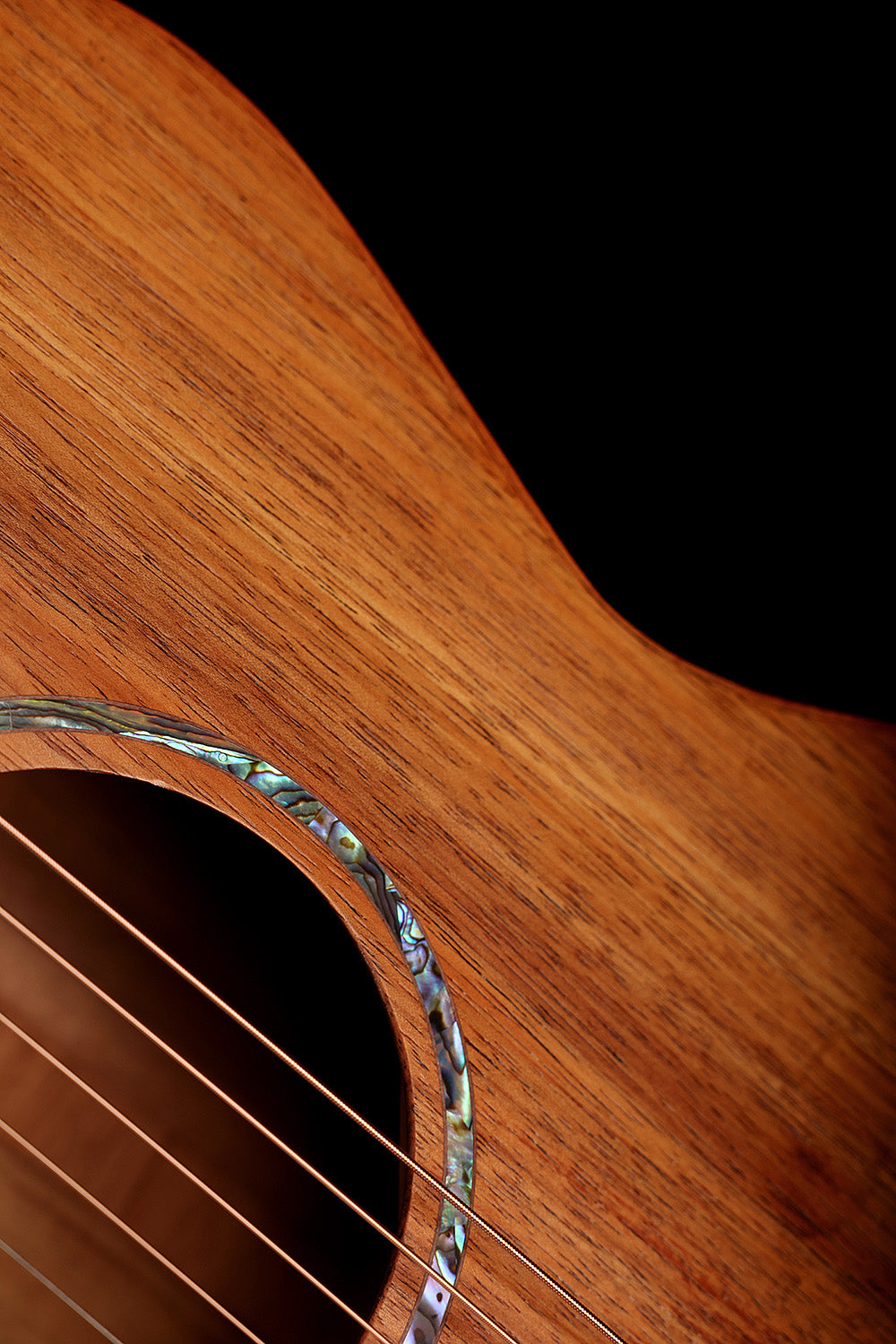 Cole Clark SAN1EC-LH-BLBL Left-Handed 'Blackwood / Blackwood' Acoustic Electric Guitar