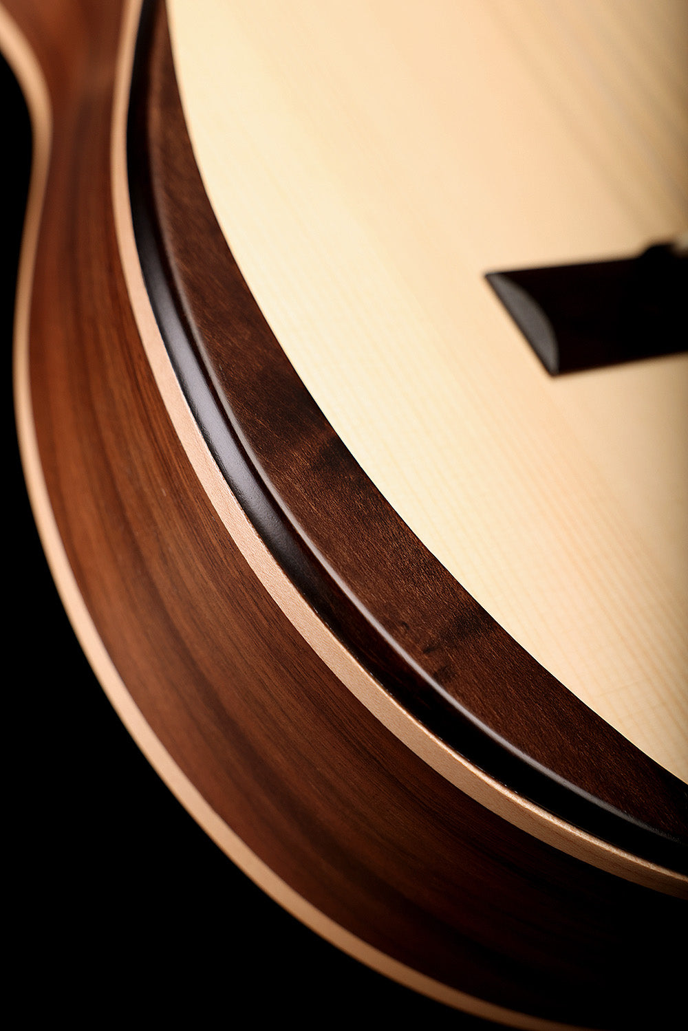 Manuel Rodriguez Ecologia Samba Plano Electric Classical Guitar