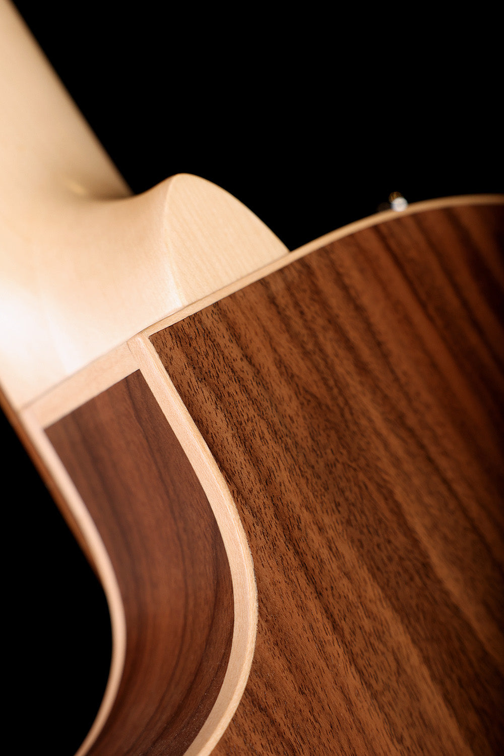 Manuel Rodriguez Ecologia Samba Plano Electric Classical Guitar