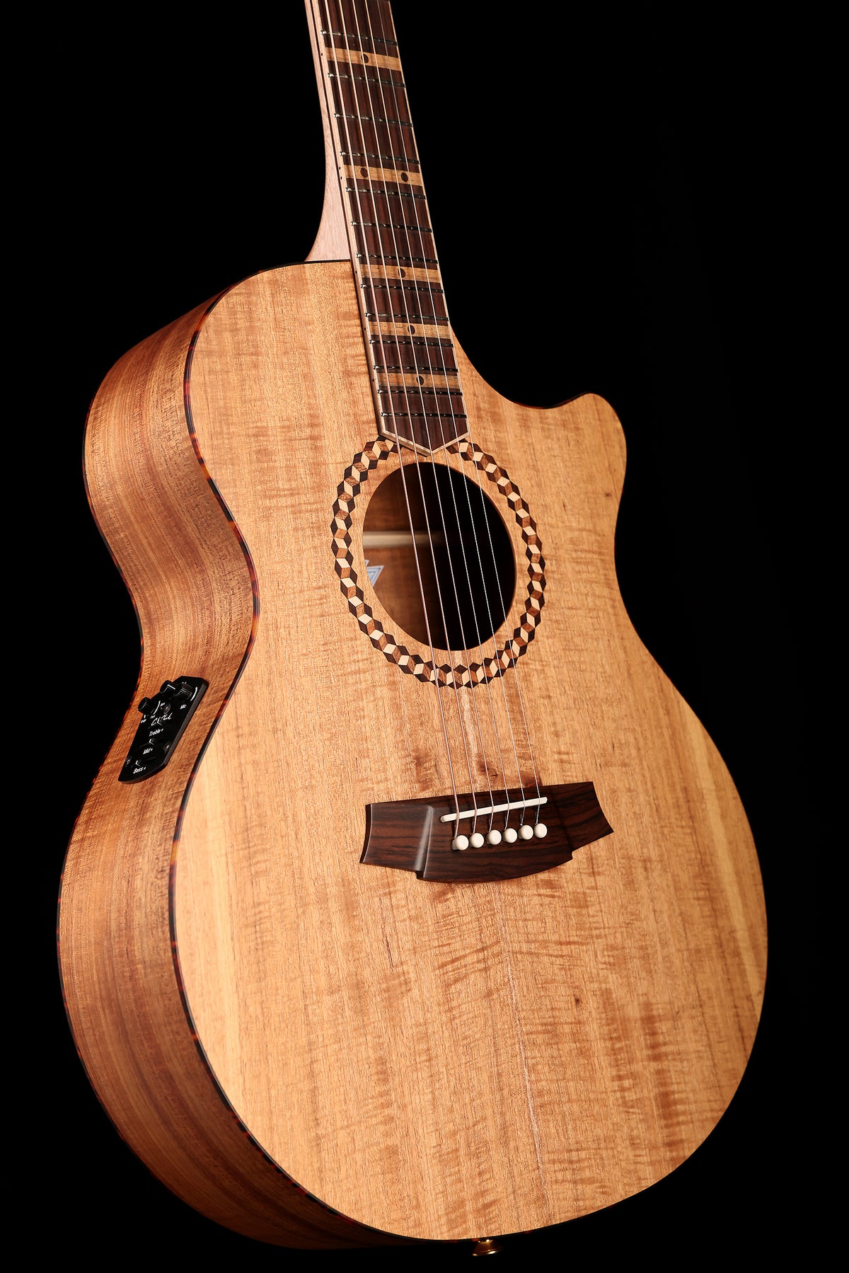 Cole Clark Mastergrade Recording Grand Auditorium 'Blackwood / Blackwood' Acoustic Electric Guitar