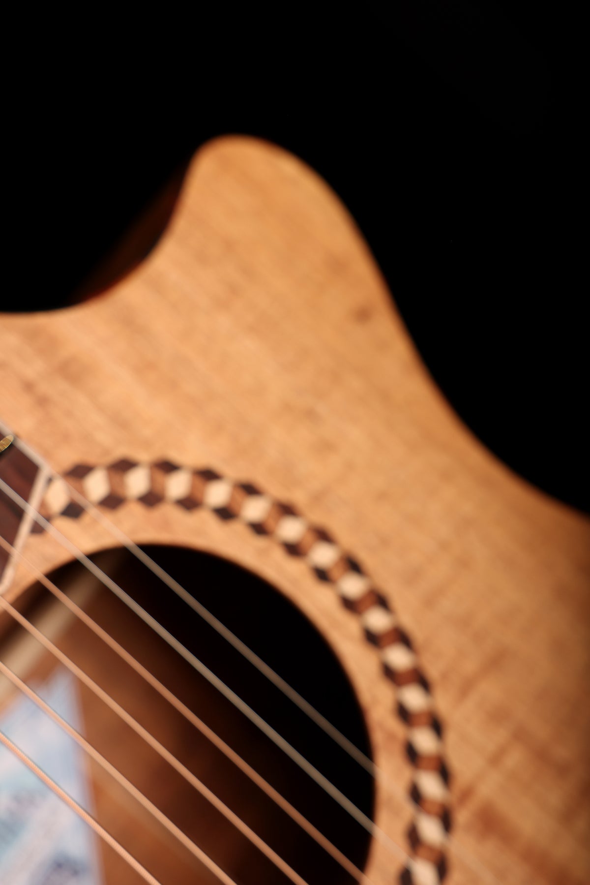 Cole Clark Mastergrade Recording Grand Auditorium 'Blackwood / Blackwood' Acoustic Electric Guitar