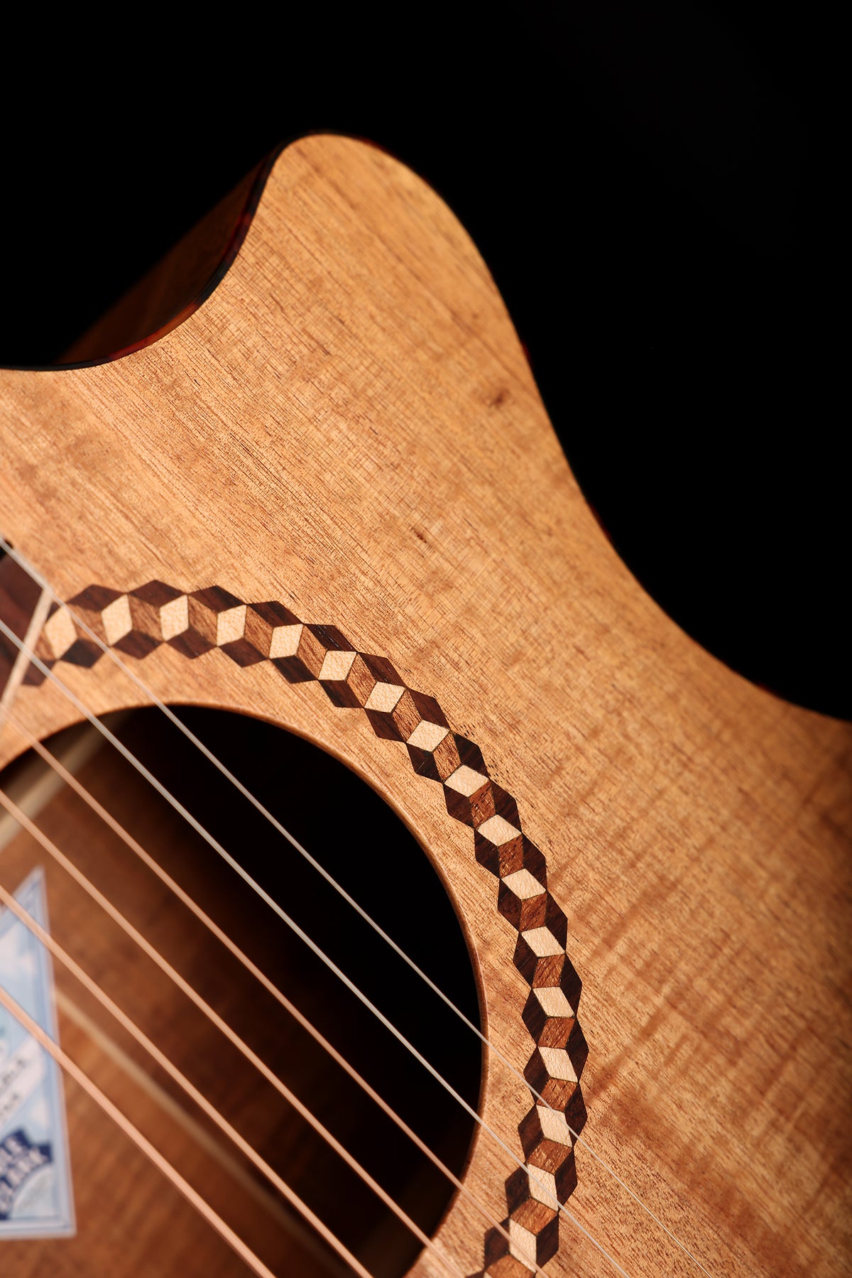 Cole Clark Mastergrade Recording Grand Auditorium 'Blackwood / Blackwood' Acoustic Electric Guitar