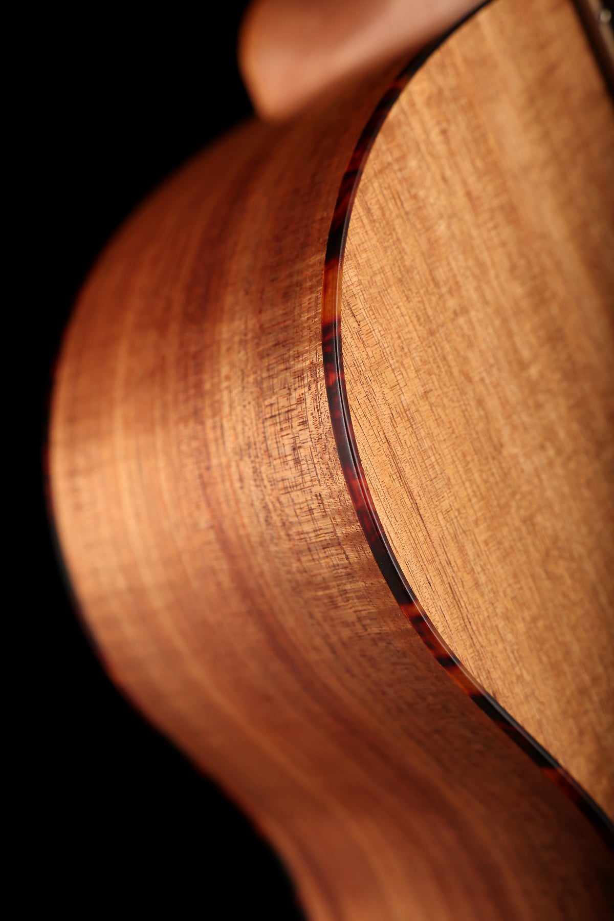 Cole Clark Mastergrade Recording Grand Auditorium 'Blackwood / Blackwood' Acoustic Electric Guitar