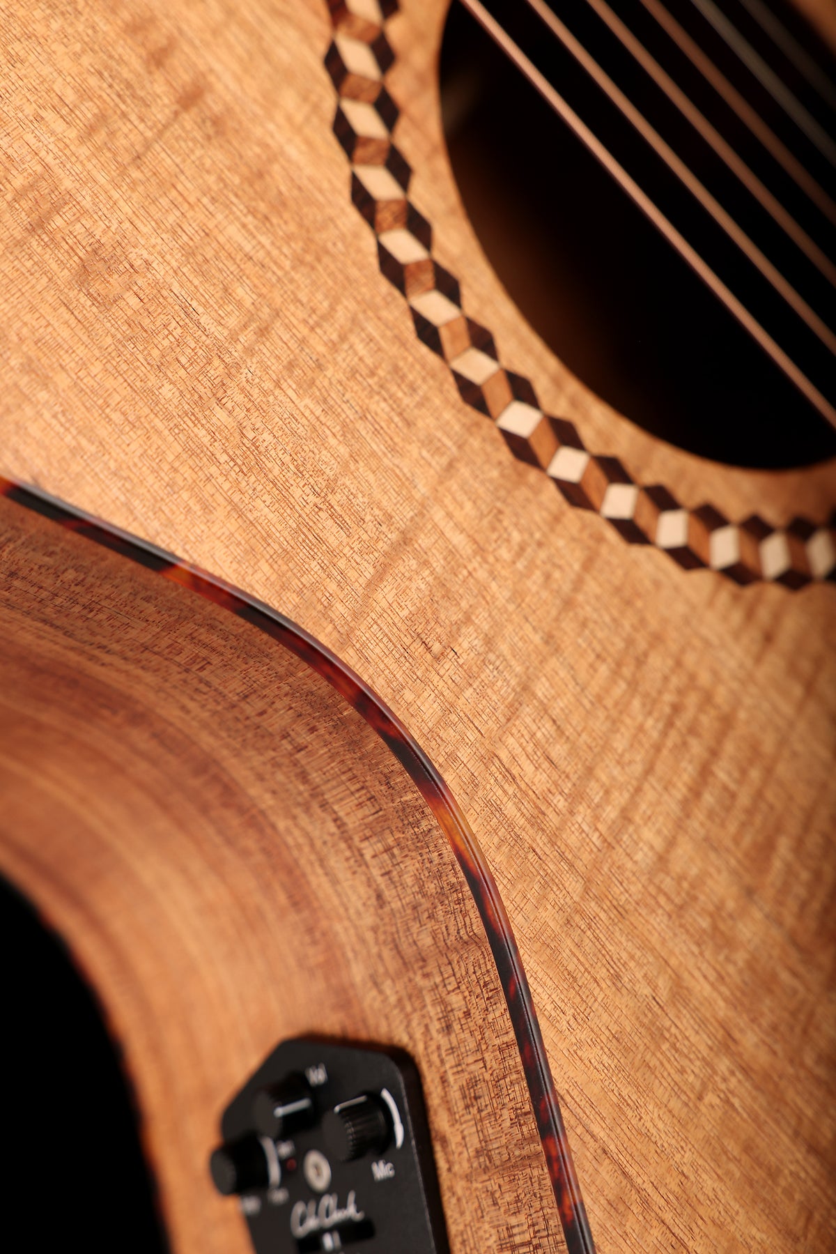 Cole Clark Mastergrade Recording Grand Auditorium 'Blackwood / Blackwood' Acoustic Electric Guitar